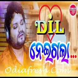 Dil Naigala - Odia Song